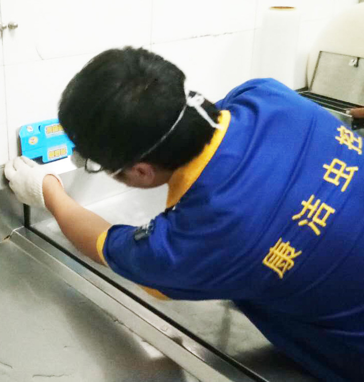 蟑螂消杀